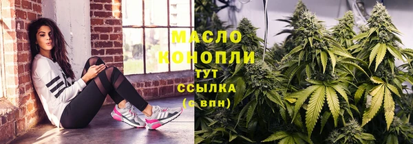 ECSTASY Богданович